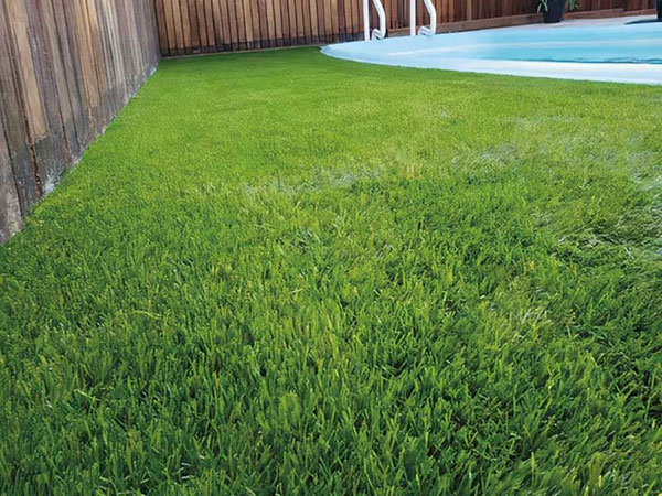 Grama artificial para quintal: a escolha perfeita para espaços de entretenimento ao ar livre Grama artificial para quintal: a escolha perfeita para espaços de entretenimento ao ar livre