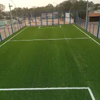 Grama artificial em Sergipe